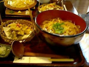 ごぼう天うどん