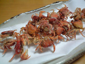 沢がに