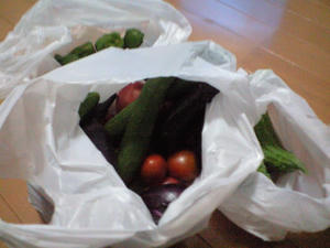 夏野菜