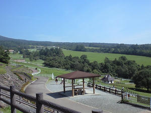 まきば公園