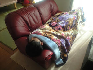 ｚｚｚ…。