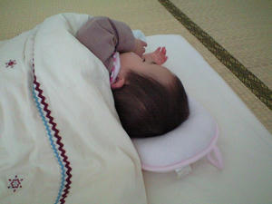 お昼寝中