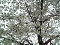 080330-5.jpg