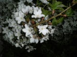 b958563a.jpg