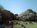 c38d9c11.jpg