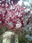 01c0d039.jpg