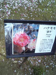 dd30d1a1.jpg