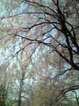 641093c9.jpg