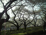 f933a4f3.jpg