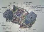 65cd8179.jpg