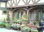 080419-9.jpg