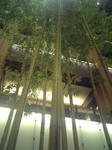 080517-1.jpg