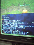 080525-1.jpg