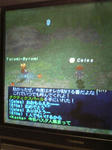080526-1.jpg