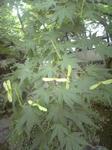 080608-29.jpg