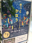20080707181504.jpg