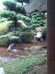 20080727144045.jpg