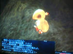 20080815013424.jpg