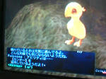 20080815014427.jpg