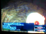 20080816014259.jpg
