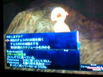 20080816014123.jpg