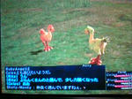 20080908224625.jpg