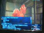 20080925011337.jpg