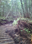 20081004141845.jpg
