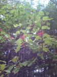20081004142423.jpg