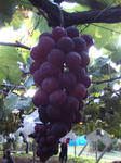 20081004163314.jpg