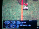 20081006024020.jpg