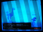 20081025032436.jpg