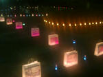 20081107184331.jpg