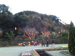 20081122163617.jpg