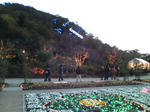20081122163642.jpg