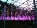 20081122164045.jpg