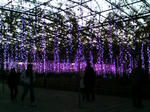 20081122164053.jpg