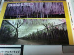 20081123000236.jpg
