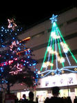 20081128222418.jpg