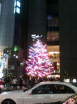 20081128185613.jpg
