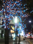 20081210170653.jpg