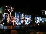 20081220193709.jpg