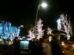 20081220193838.jpg