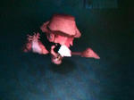 20081222190922.jpg