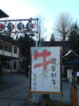 20090104143601.jpg