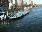 20090111131531.jpg