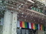 20090130131629.jpg