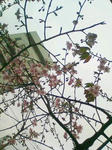 20090209160056.jpg
