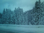 20090221151652.jpg