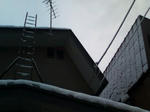 20090221165735.jpg